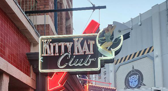 Wingo Kitty Kat Club